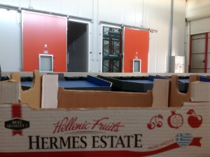 Εγκαταστάσεις Ψυγεία Γραμμή παραγωγής